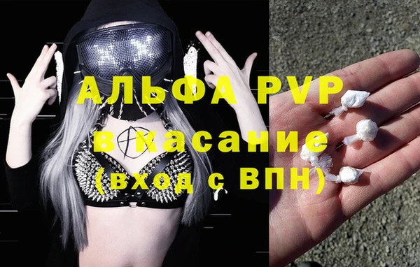 apvp Алзамай