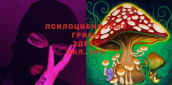 apvp Алзамай