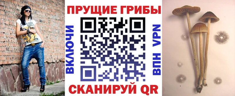 Галлюциногенные грибы ЛСД Константиновск
